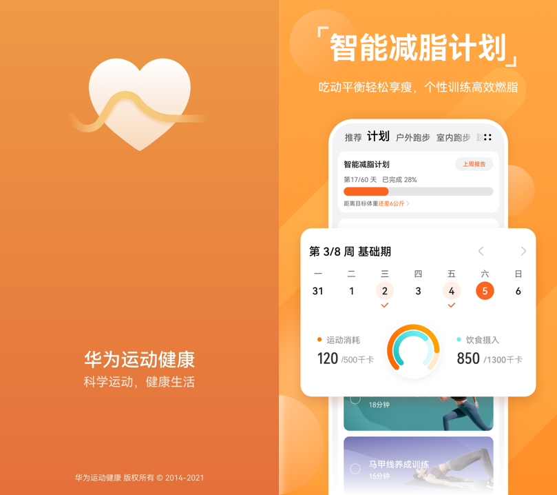 华为移动健康app，数字化健康生活的重塑平台