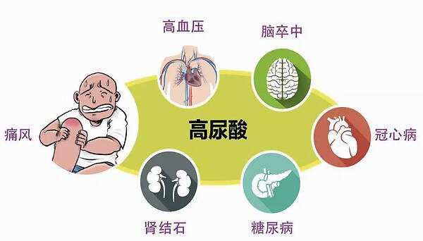 医学白皮书，揭示健康奥秘，引领医学未来发展趋势