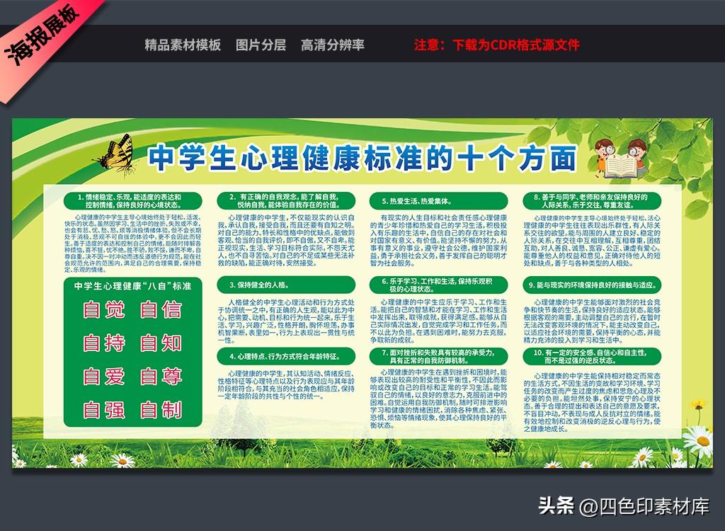 居民电子健康档案宣传栏，开启健康社区新篇章