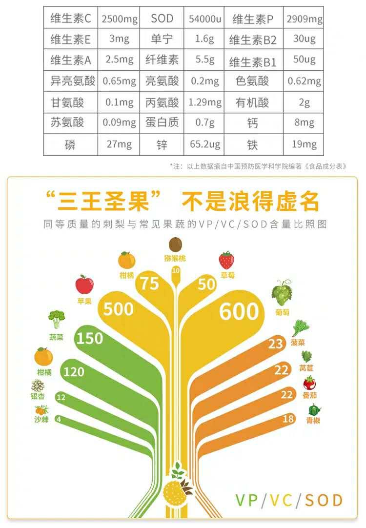 康宝手表，品牌力量与品质的独步之选，超越杂牌之力