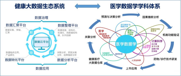 健康数据科学专业深度解析