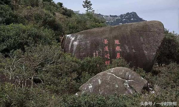 病人管理，构建高效医疗体系的核心基石