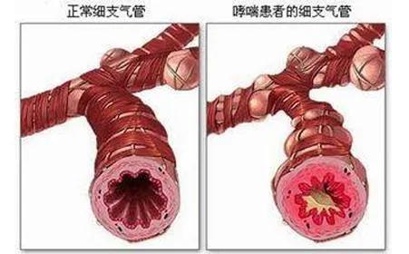 桂林市疾病预防控制中心电话