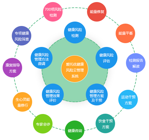 探索健康未来之路，2413科技健康平台的热动力之旅