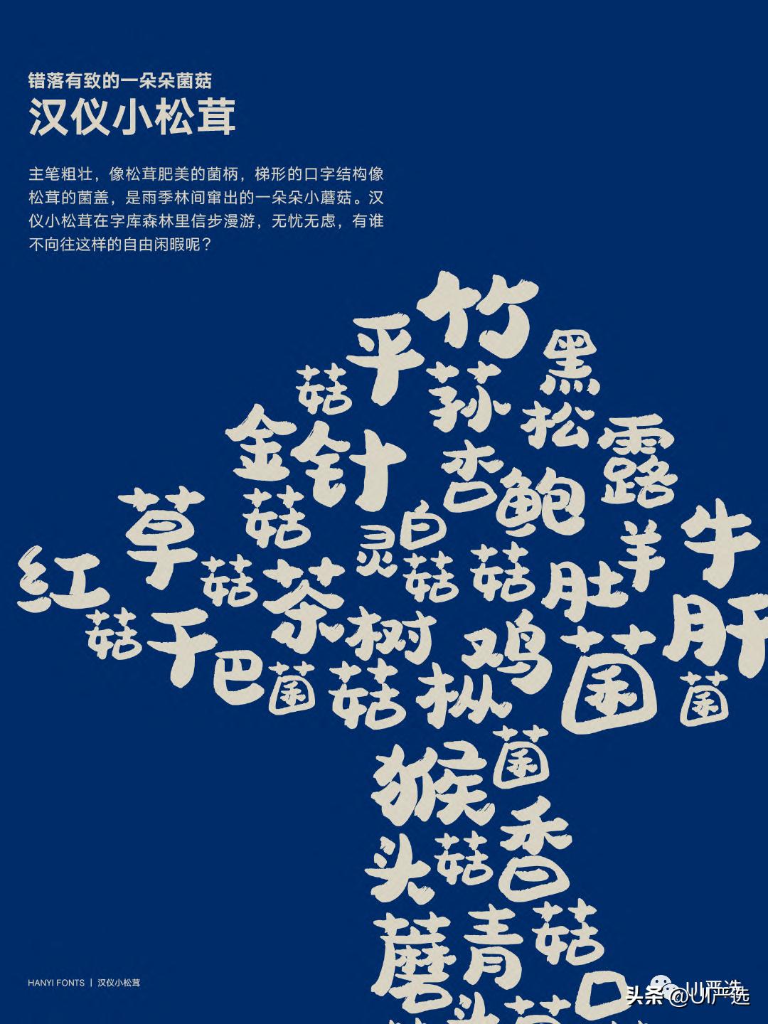 探索国考真题，掌握2023年国考真题pdf的重要性与策略解析