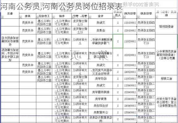 公务员岗位招录表，构建公正透明招聘路径，打造公平就业环境