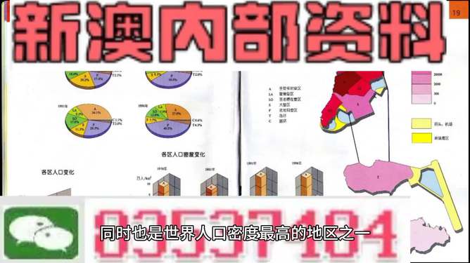 新澳门精准资料大全管家婆料,效率资料解释落实_精英版9.298