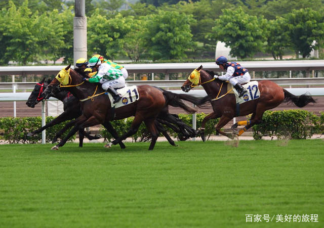 看香港正版精准特马资料,理论解答解释落实_游戏版59.85.58