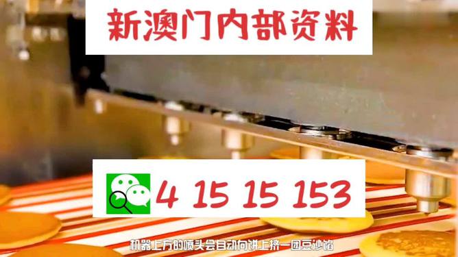 新澳门内部一码精准公开,定量解答解释定义_网红版66.639