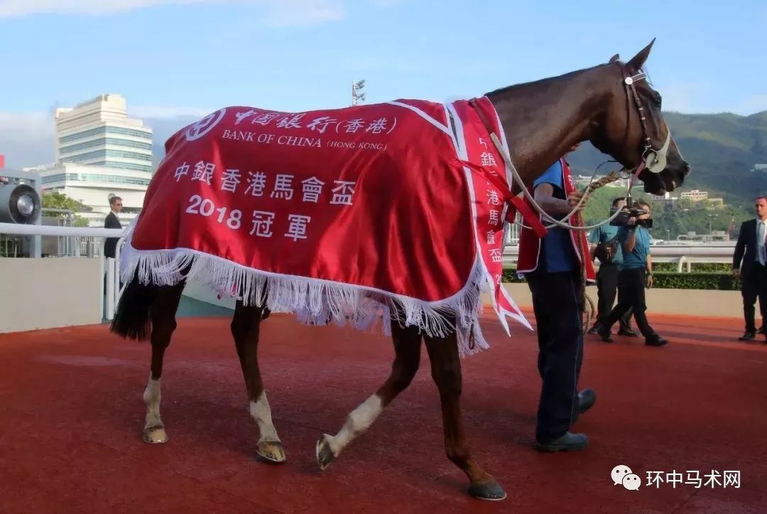 ww777766香港马会总纲诗,全面理解执行计划_桌面版65.396