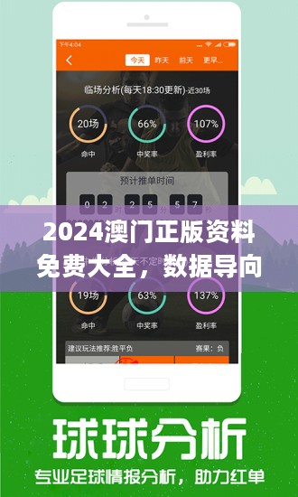 2024澳门免费资料,正版资料,系统化分析说明_Q79.529