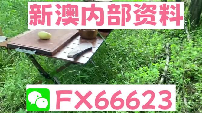 新澳内部一码精准公开,动态词语解释落实_RX版23.383