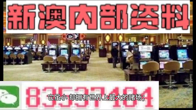 澳门正版精准免费大全,精细化策略解析_运动版91.95