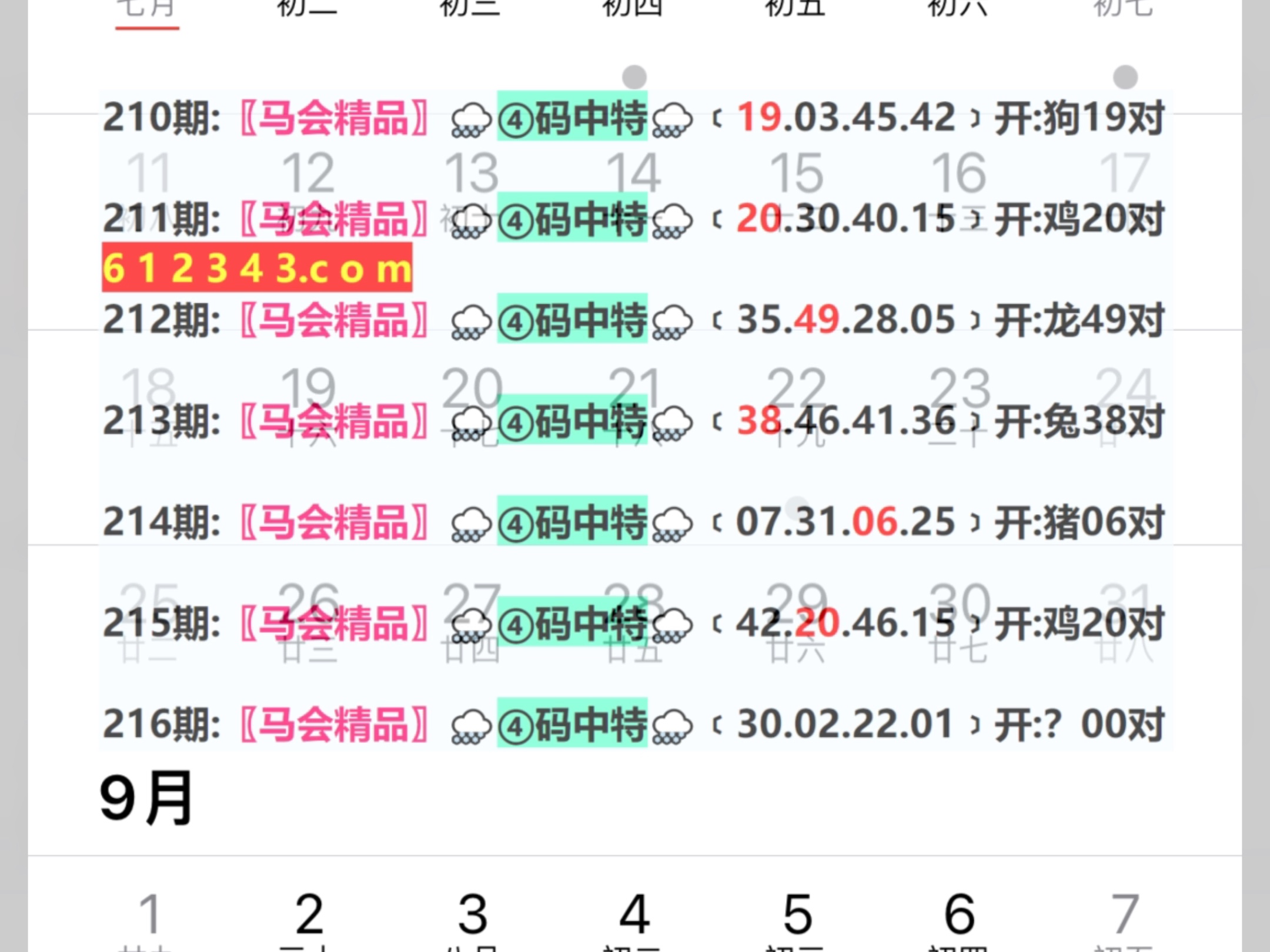 2024年新奥门天天开彩,数据设计驱动解析_移动版79.520