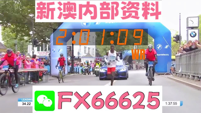 新澳2024正版资料免费公开,稳定策略分析_C版61.509