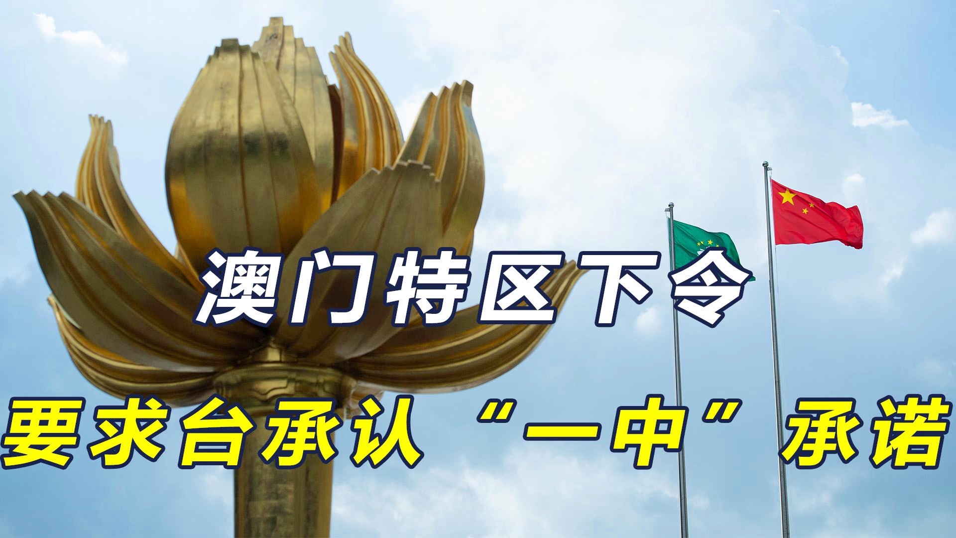 澳门一码一肖一待一中四不像,决策资料解释落实_pro13.15