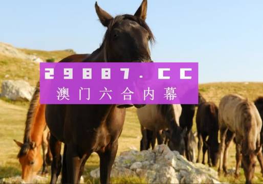 公司简介 第440页