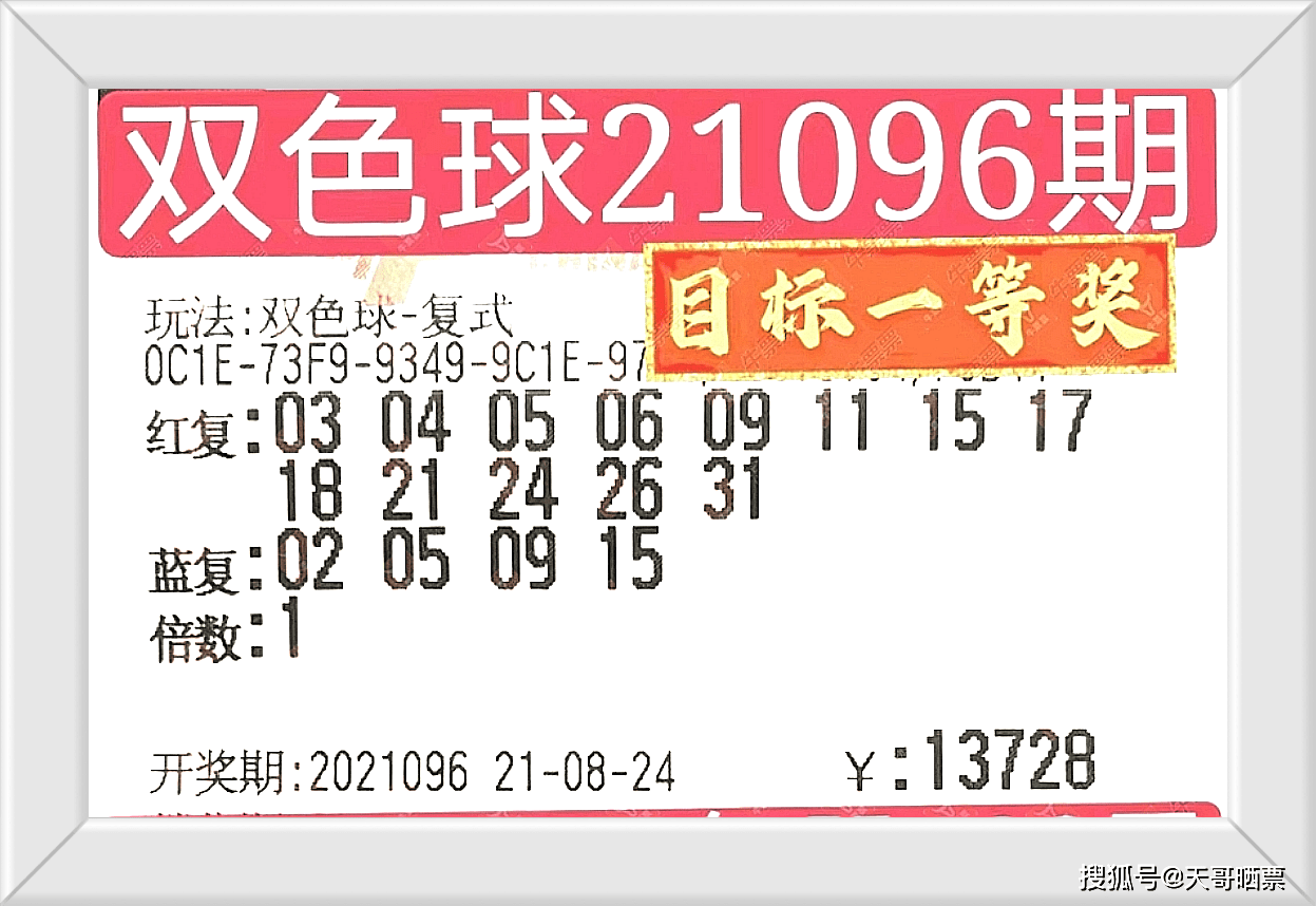 2024今晚澳门特马开什么码,全面数据解析说明_UHD版42.232