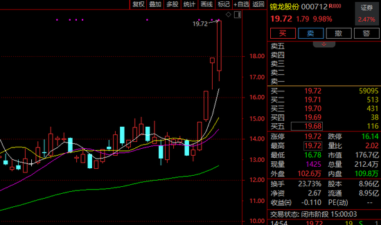 日出东方触及跌停