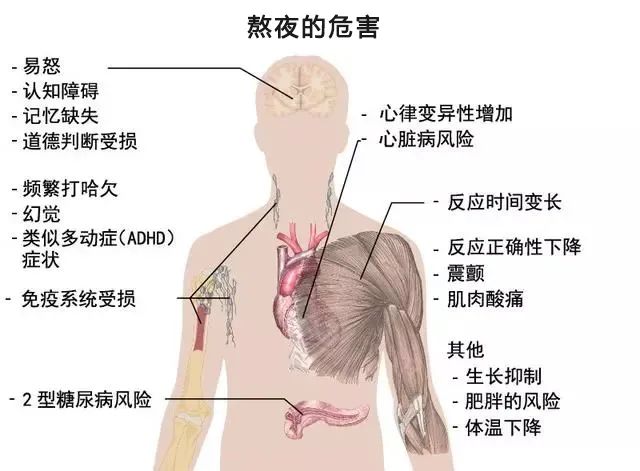 联系我们 第271页