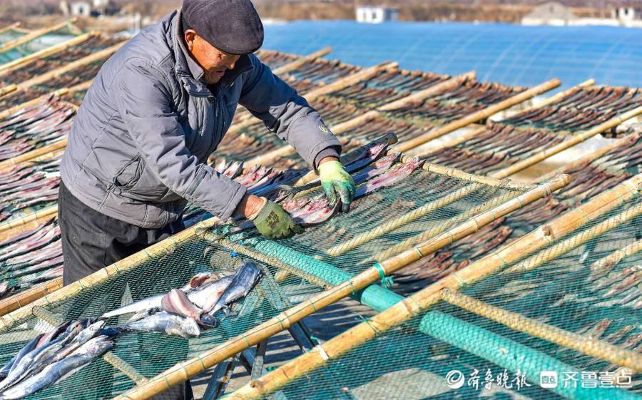 体验渔民生活，品味海洋鲜味——海洋亲密接触之旅