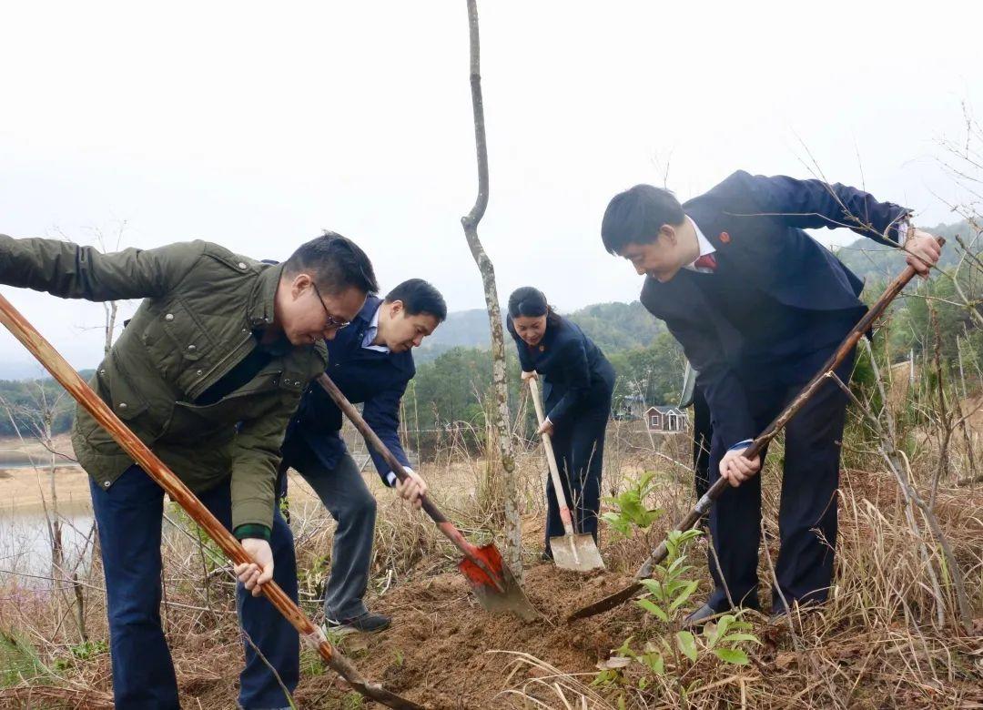 湿地保护成效显著，生态环境治理成果深度解析