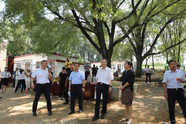 乡村民宿市场火爆