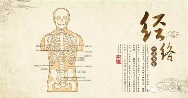 花湮苍笙泪 第13页