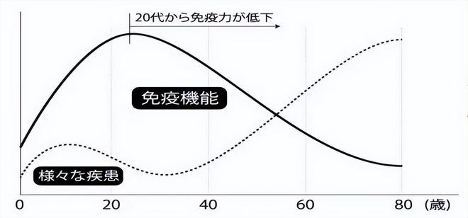 高血压患者的日常饮食与运动策略