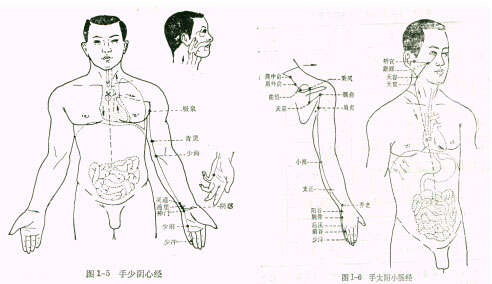 中医经络理论与日常按摩应用方法详解