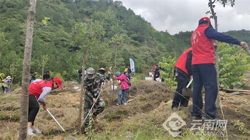 节能措施助力家庭碳足迹减排，开启绿色生活新篇章