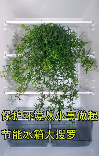 在家做节能环保