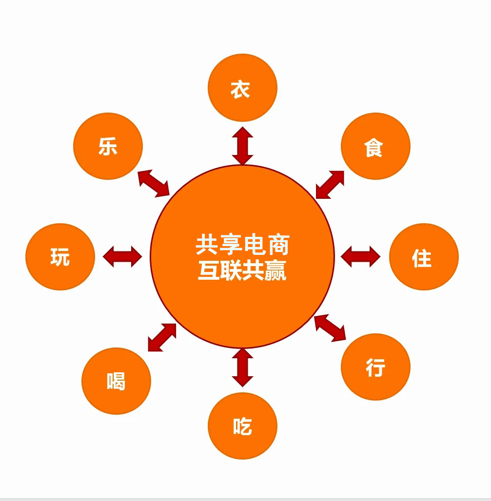 共享经济的商业生态系统构建策略