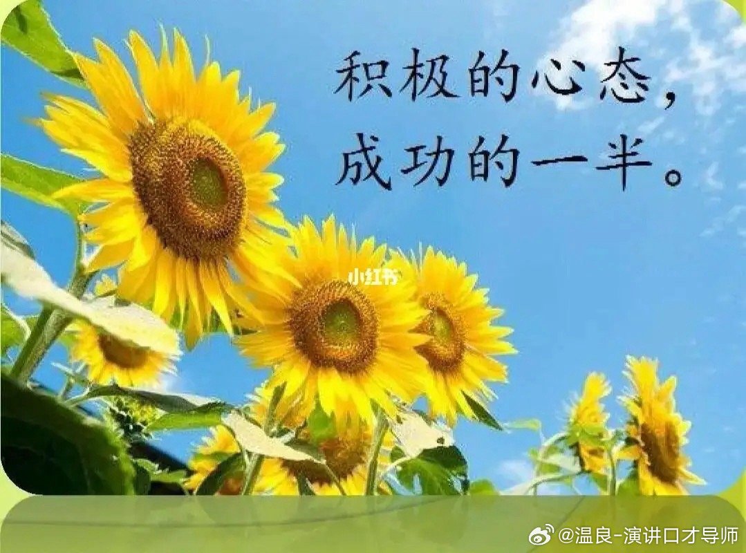 如何保持平和心态，迎接生活挑战的策略