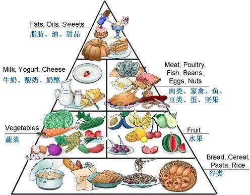 食疗食谱助你调节内分泌，平衡体质状态