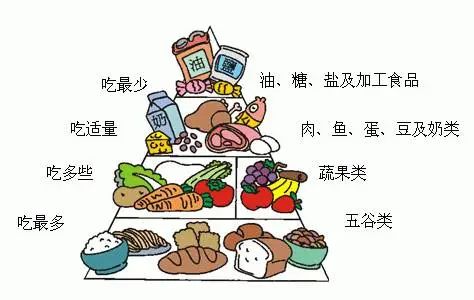 如何通过食物提升身体免疫反应