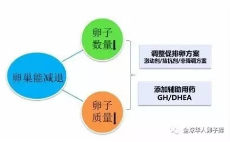 教育公平，社会发展的核心驱动力