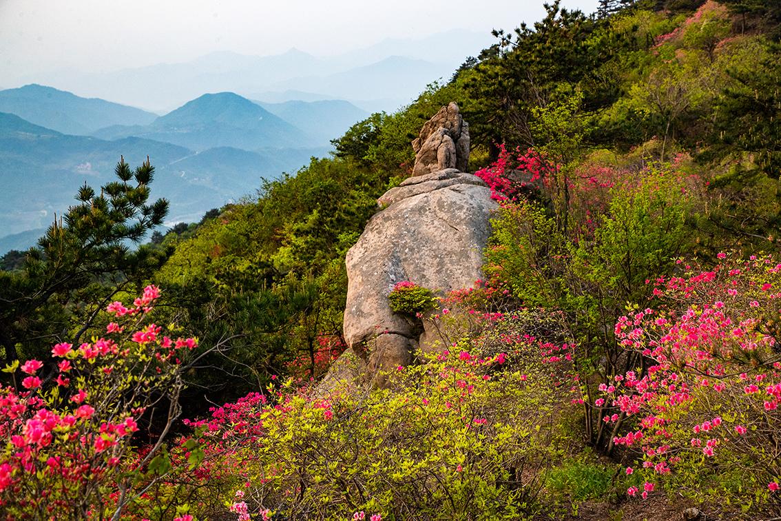 长途旅行中避免体力透支的攻略或建议