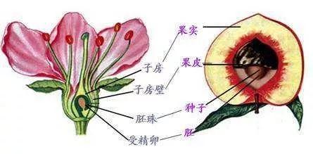 公务员考试入门指南，常识、备考策略全解析