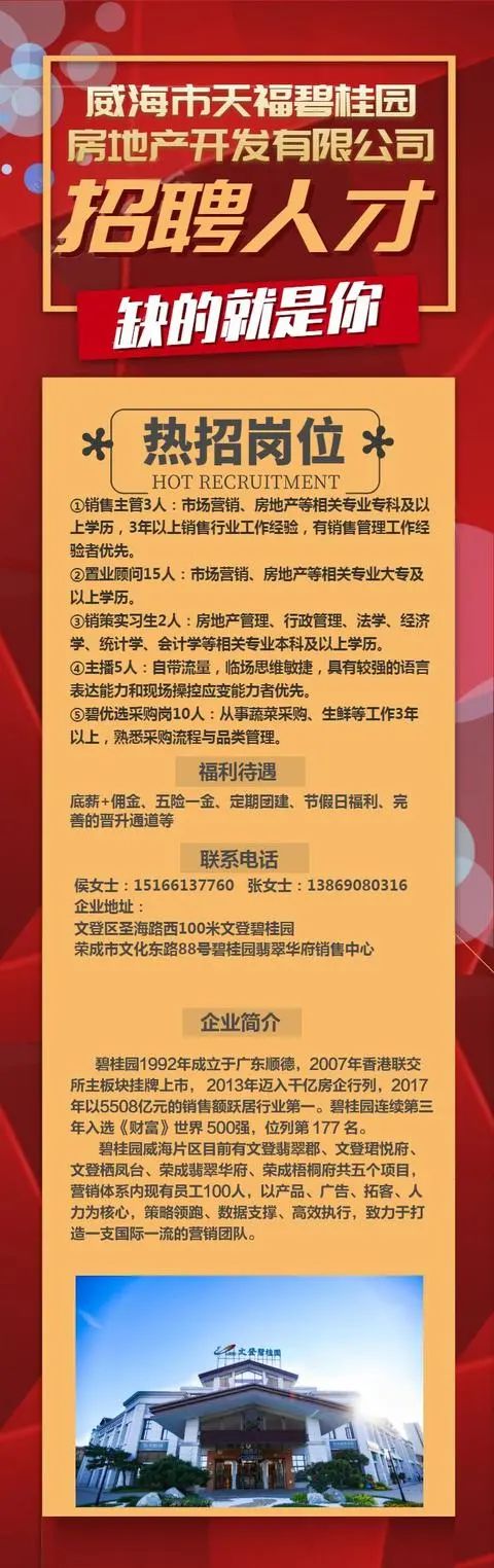 威海软件开发招聘，人才与技术的完美交汇点探寻