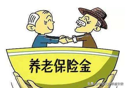 合肥保险公司招聘，人才与未来的交汇点探寻