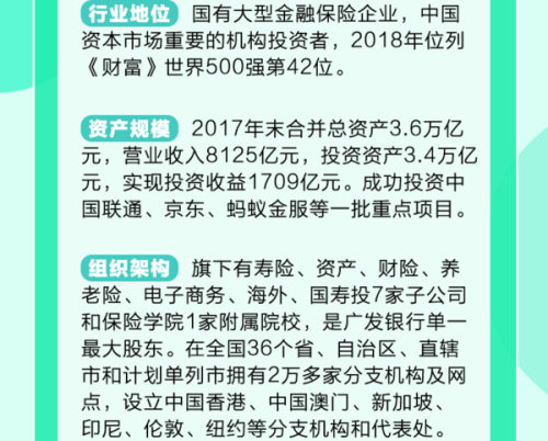 中国人寿入职指南，全面解读与深度思考