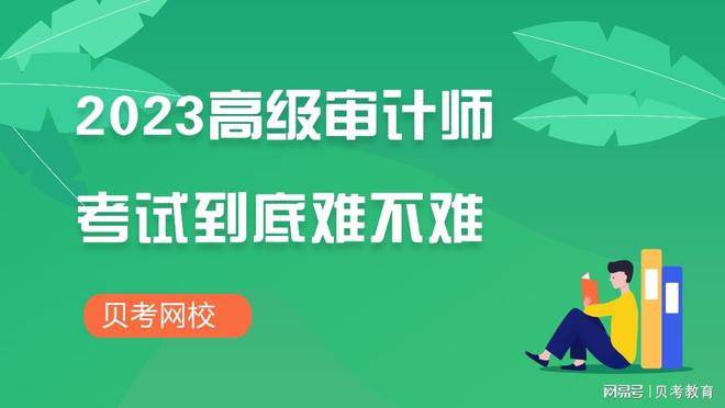 高级审计师评审的挑战与应对策略