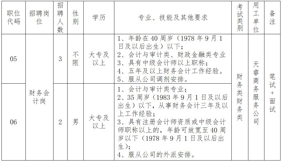 财务经理招聘条件，构建高效团队的基石人物要求解析