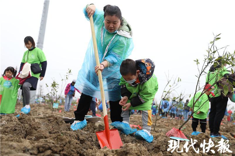 紧急使命，救护车参与柑橘园紧急采摘行动