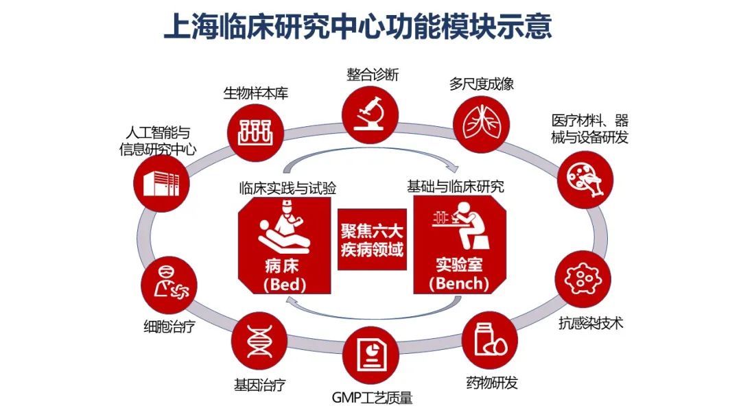 上海临床研究招聘，探寻医学新星，共筑健康未来