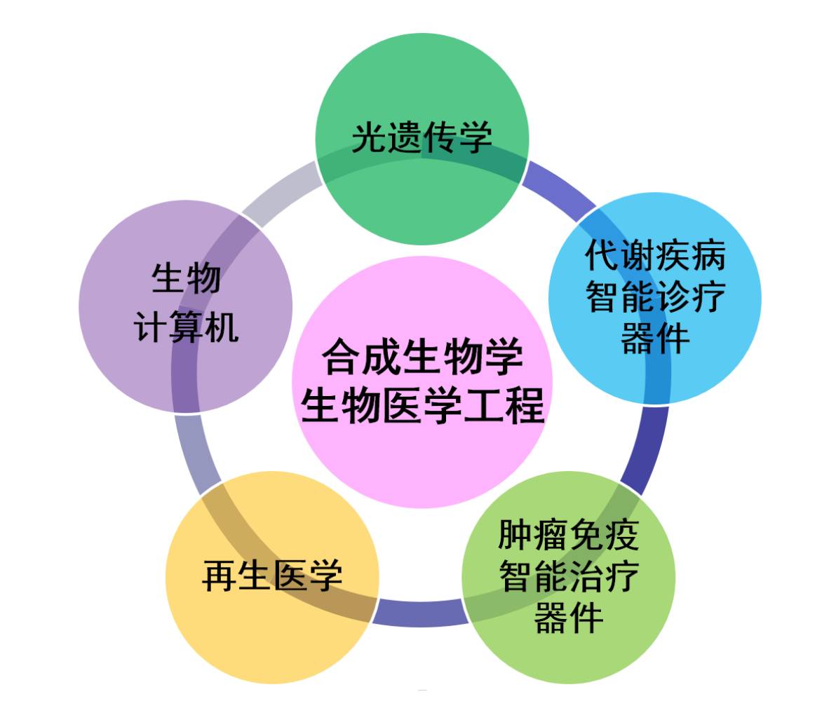 生物医学工程博士招聘启事，开启科研新征程