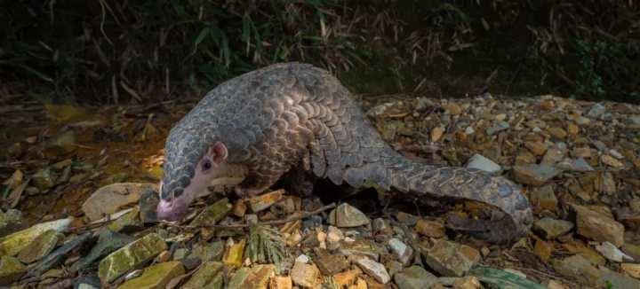 杭州生物医学工程招聘专场，挖掘未来医疗领域精英人才之旅