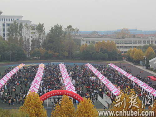 武汉生物医学工程校园招聘盛会，精英之旅探寻未来医疗领域新星