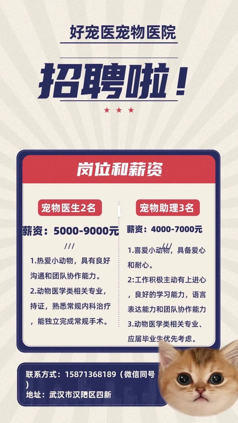 宠物医疗技术团队招募启事，共筑健康未来，打造专业宠物医疗团队